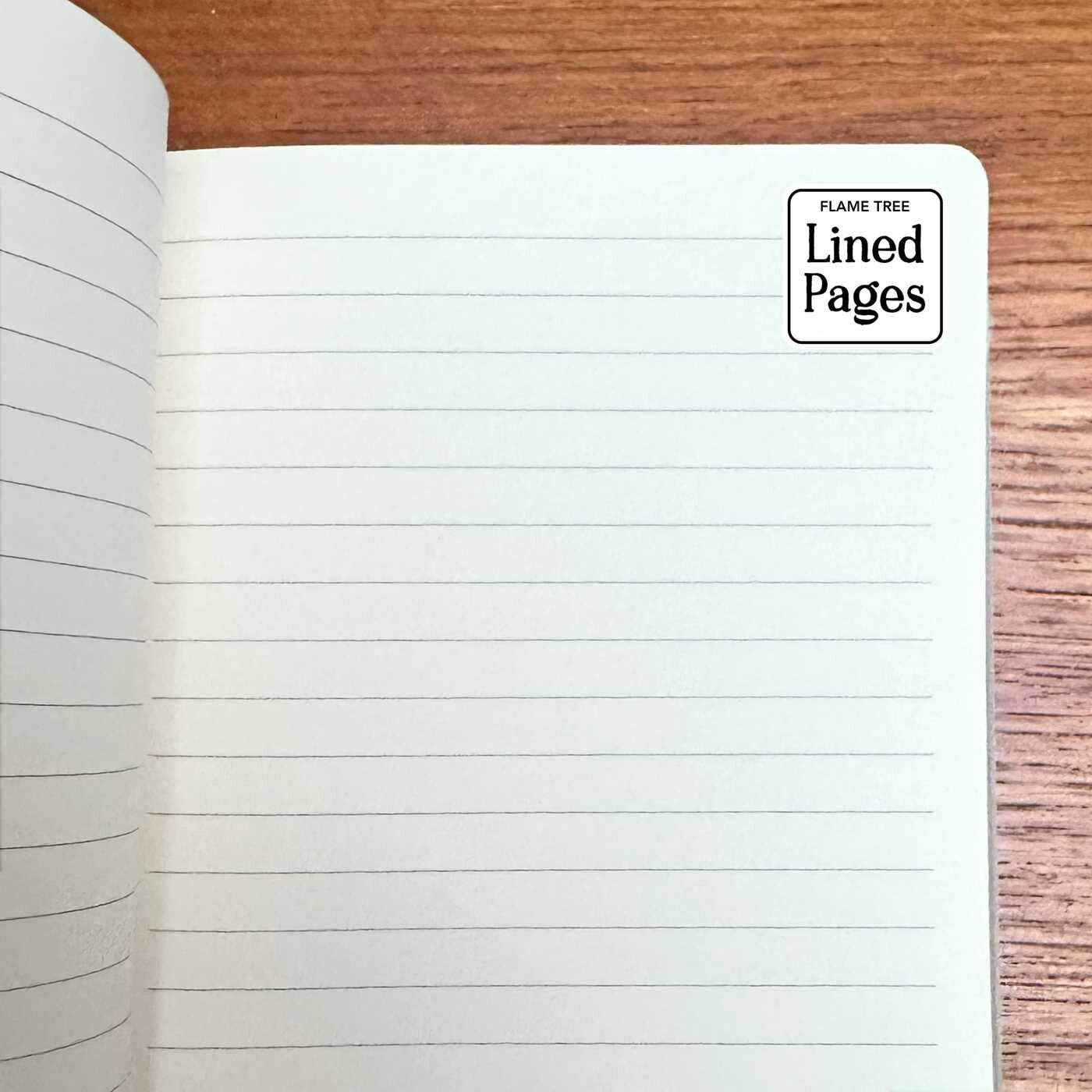 For Spells & Potions Foil Hard Cover Notebook Anna Stead