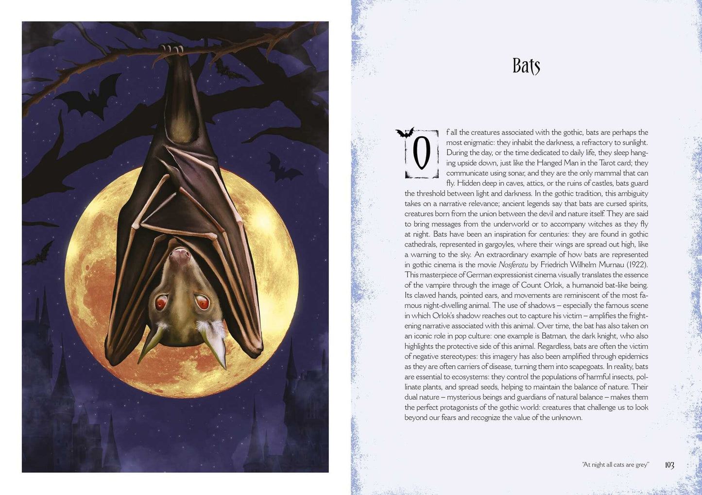 Gothic Witchcraft