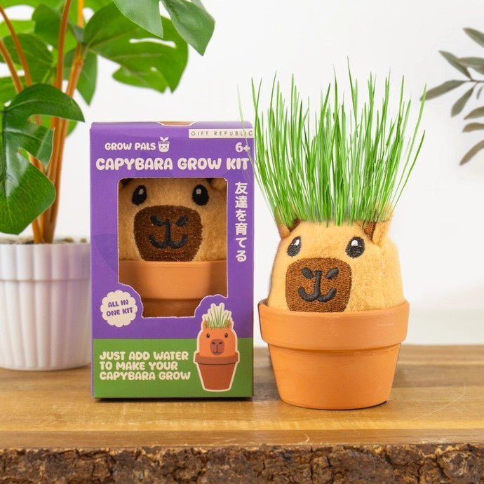 Grow Pals Capybara Grow Kit