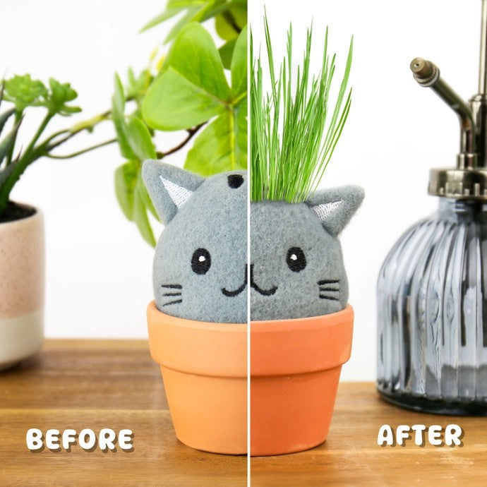 Grow Pals Cat Grow Kit