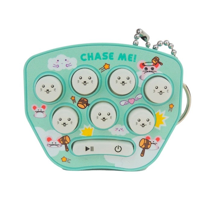 Handheld Game Blind Bag