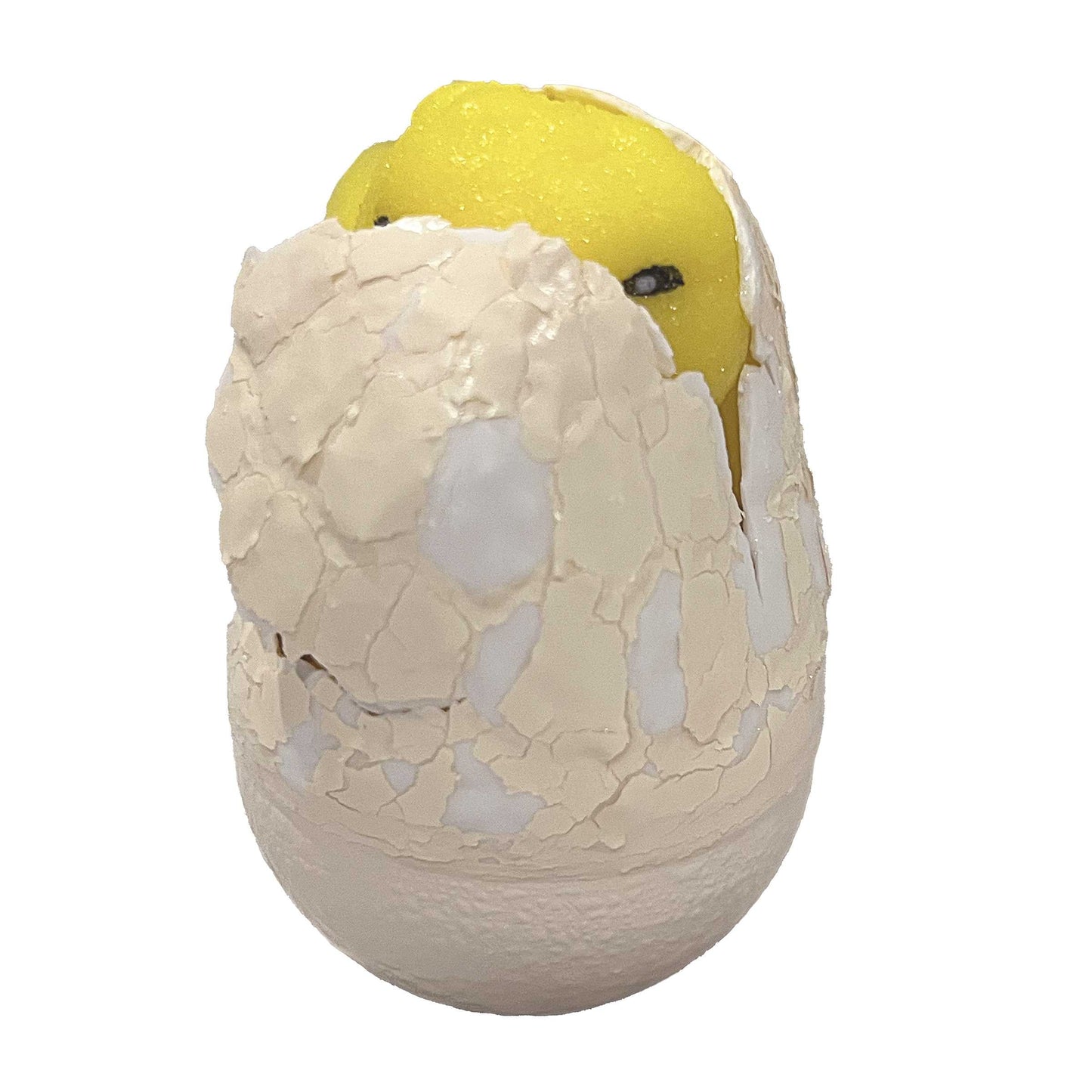 Hatch & Grow Chick