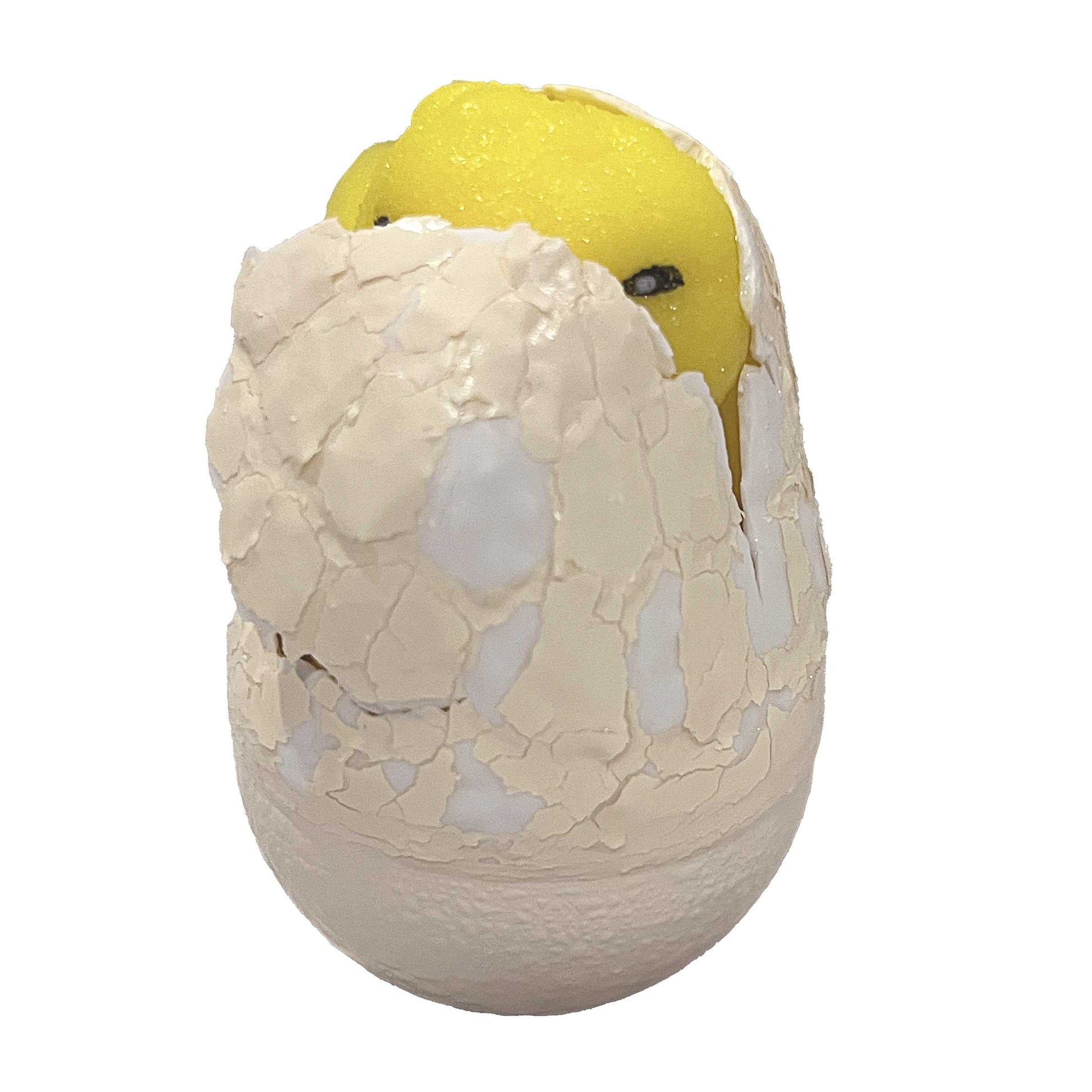 Hatch & Grow Chick