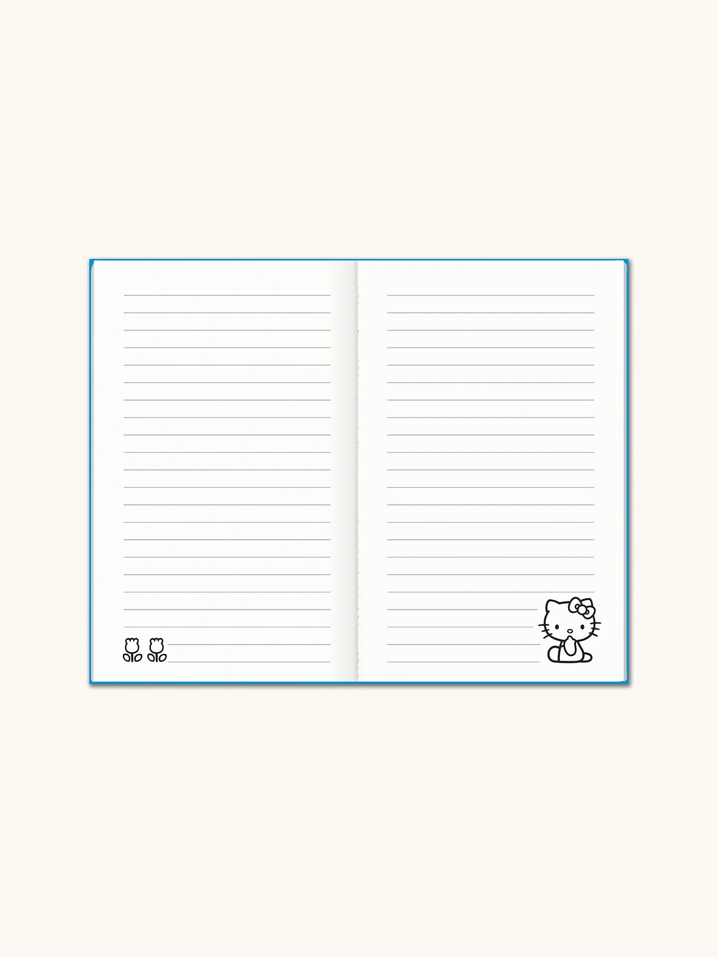 Hello Kitty Boxed Mini Notebook Trio