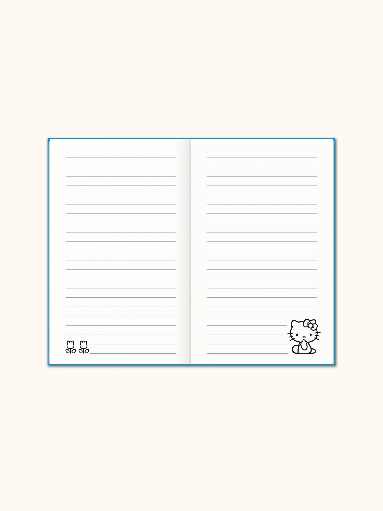 Hello Kitty Boxed Mini Notebook Trio