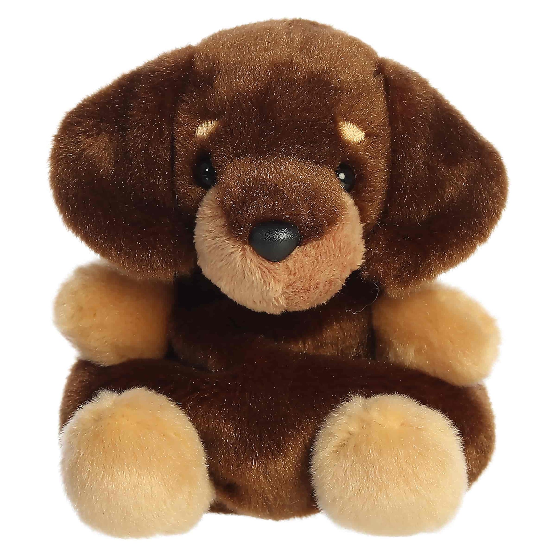 Houdini Dachshund Palm Pals Plush 5"