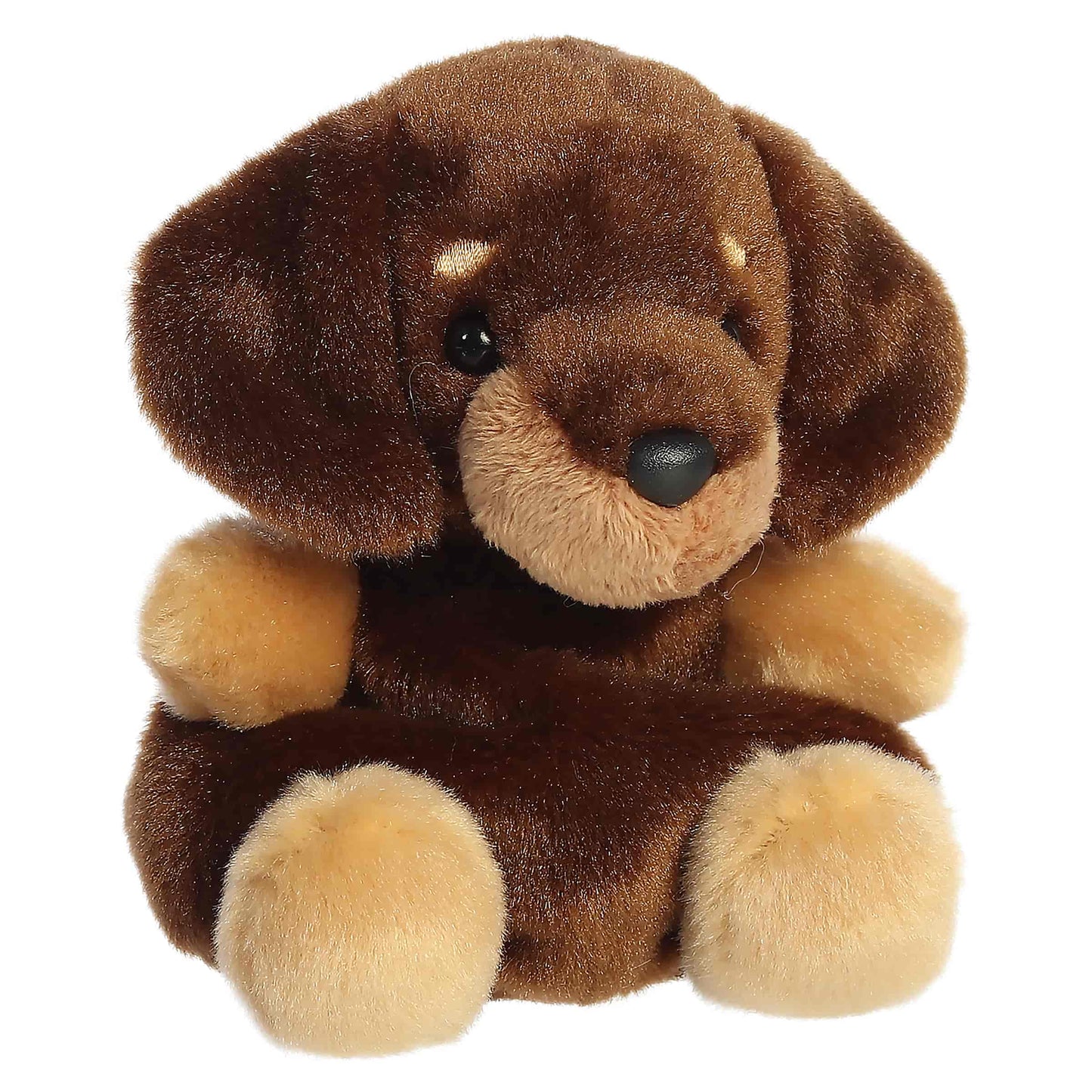 Houdini Dachshund Palm Pals Plush 5"