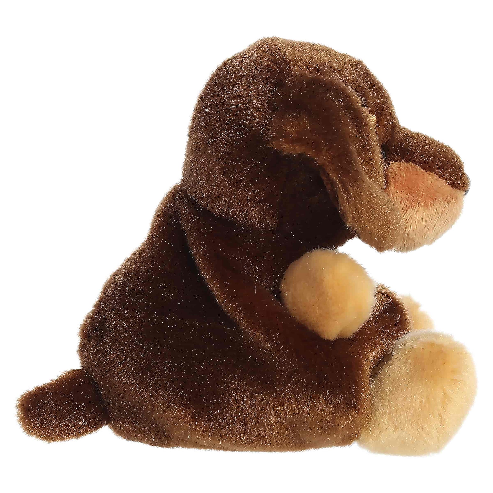Houdini Dachshund Palm Pals Plush 5"