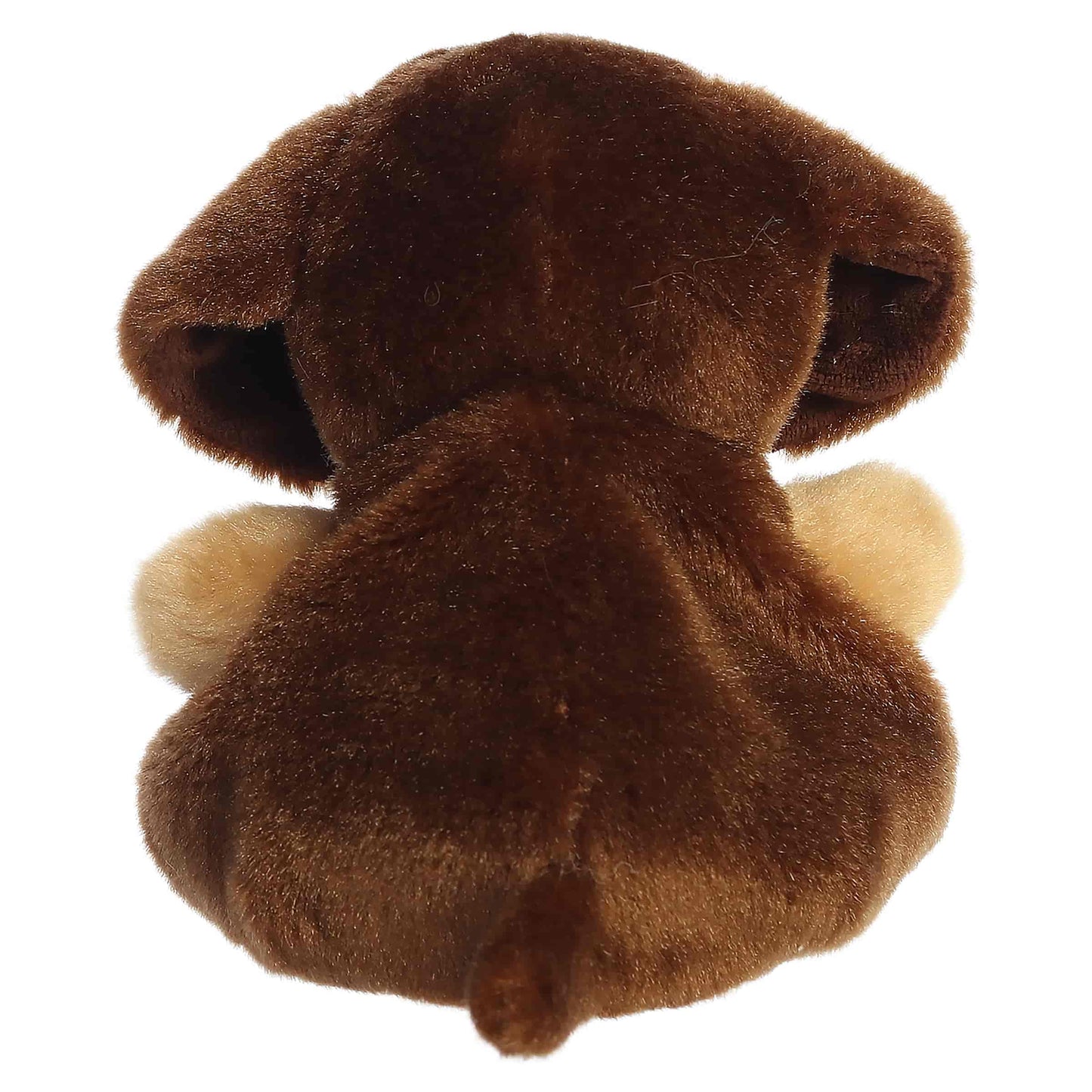 Houdini Dachshund Palm Pals Plush 5"
