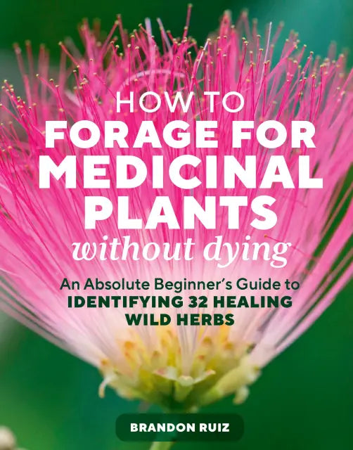 How To Forage For Medicinal Plants Without Dying