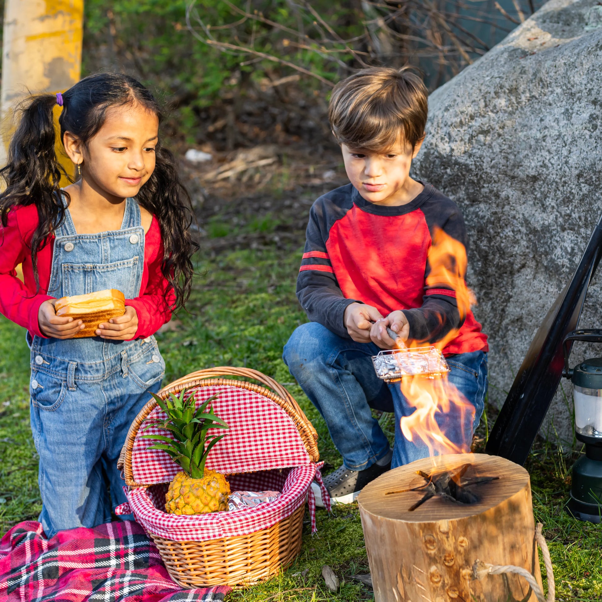 Huckleberry Roast-A-Toast