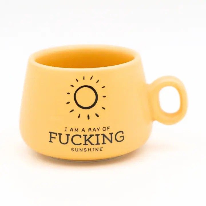 I Am A Ray of Fucking Sunshine Yellow Mug Shot