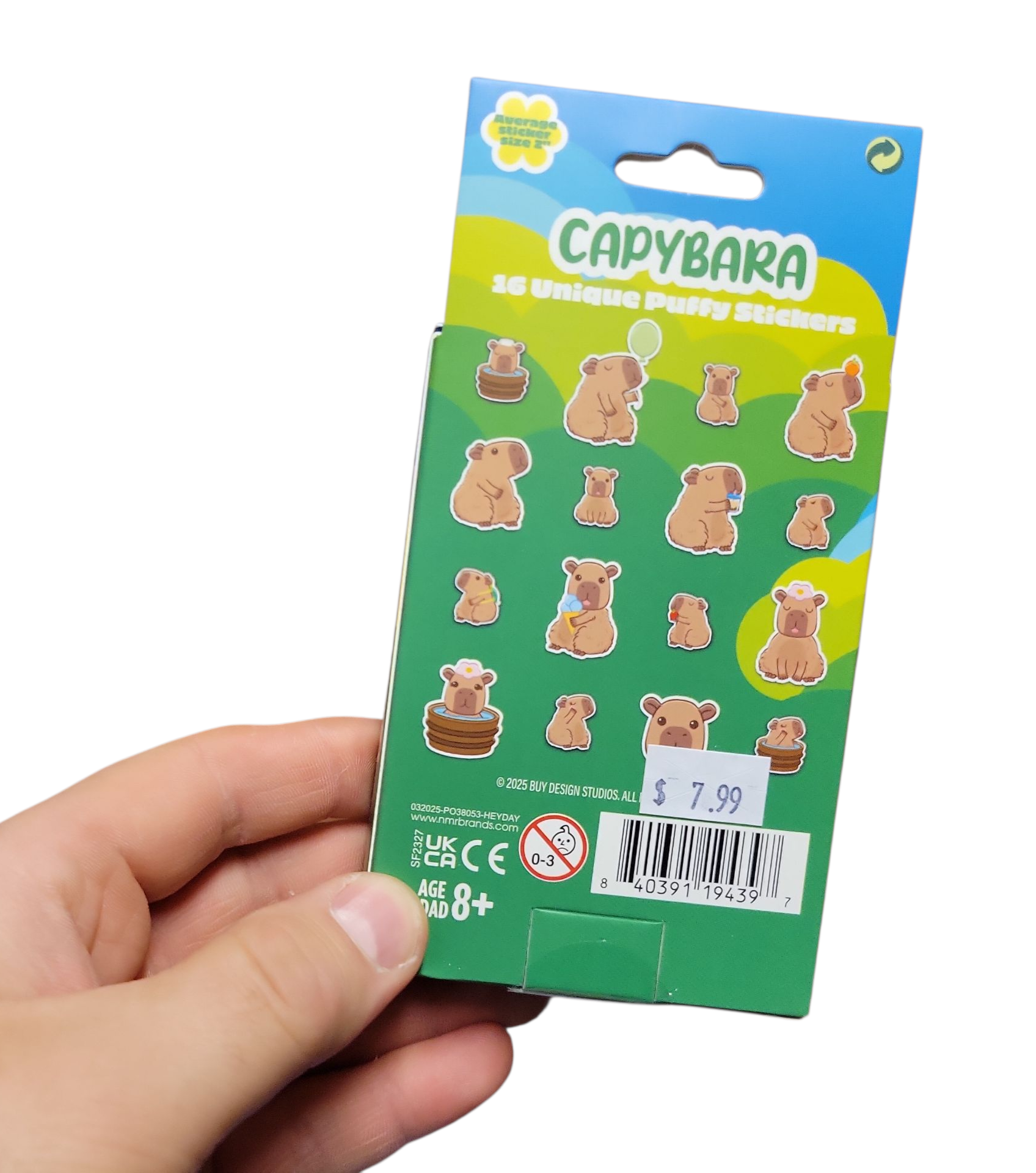 Capybara Puffy Stickers Tin