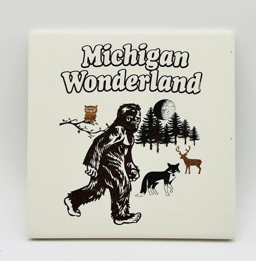 Michigan Wonderland Coaster