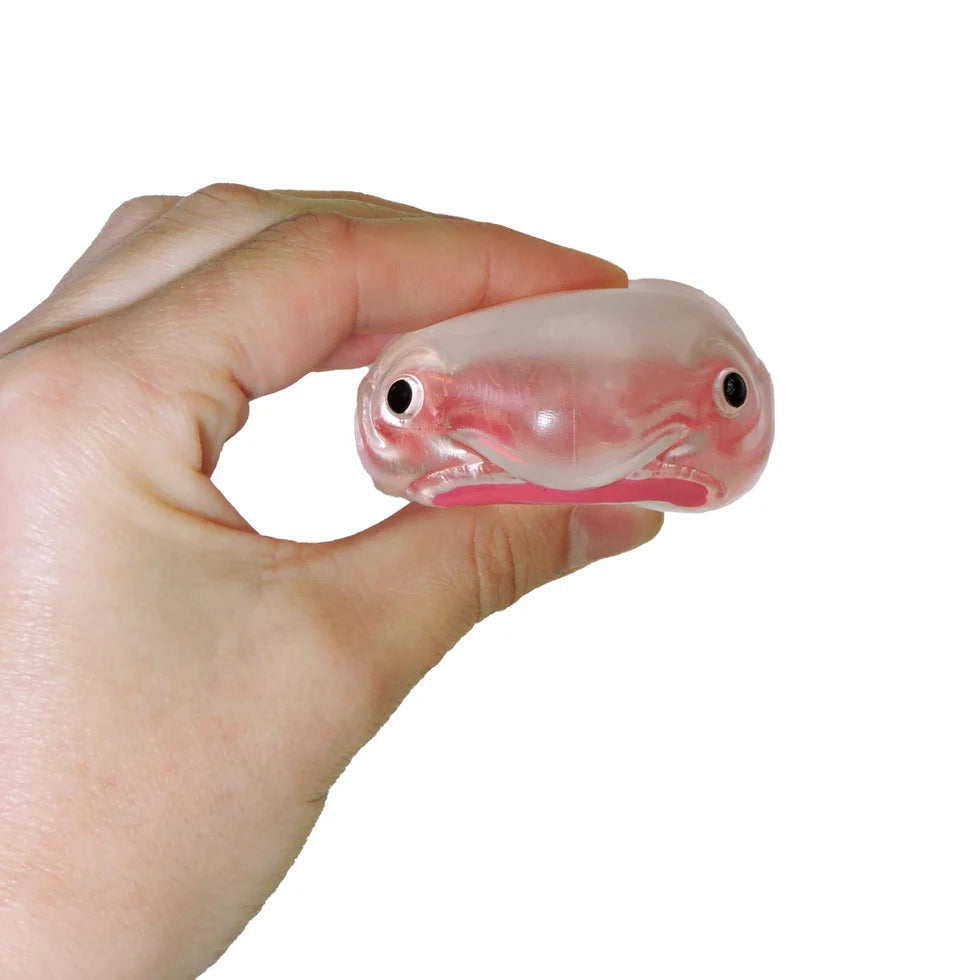 Itty Bitty Squidgy Oddity