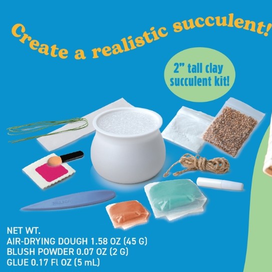 Jelly Bean Succulent Potted Plant Clay Kit