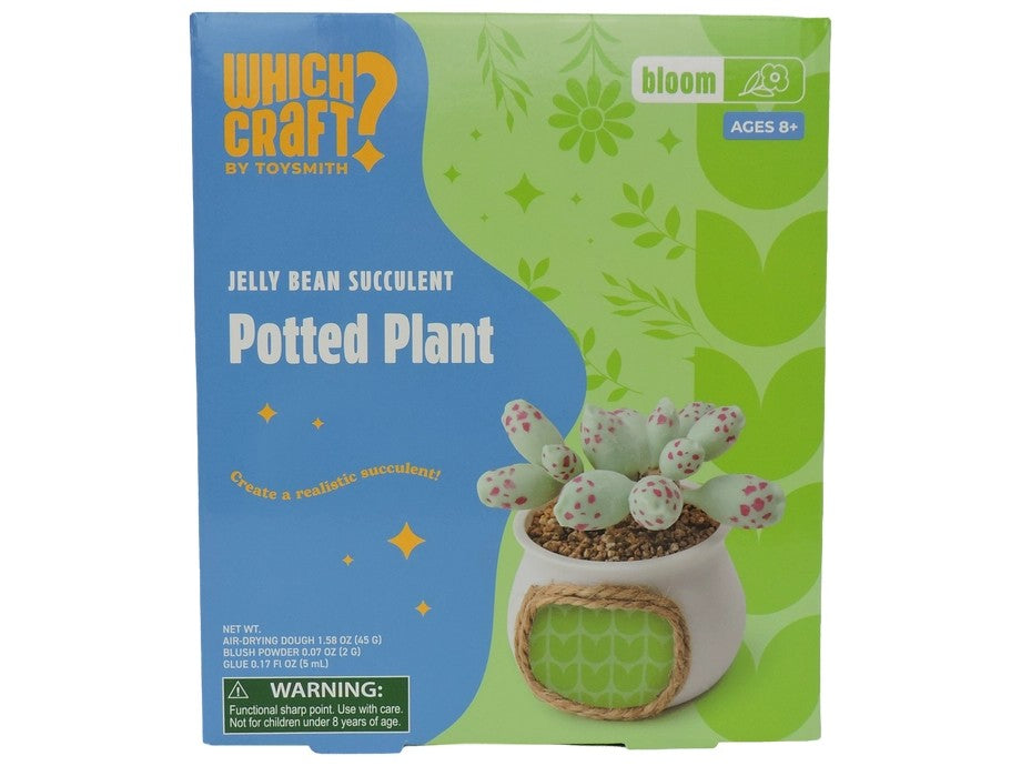 Jelly Bean Succulent Potted Plant Clay Kit
