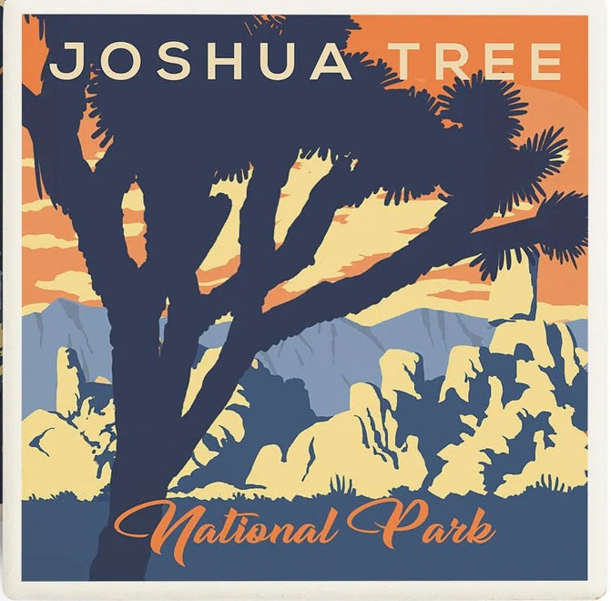 Joshua Tree National Park California Coaster