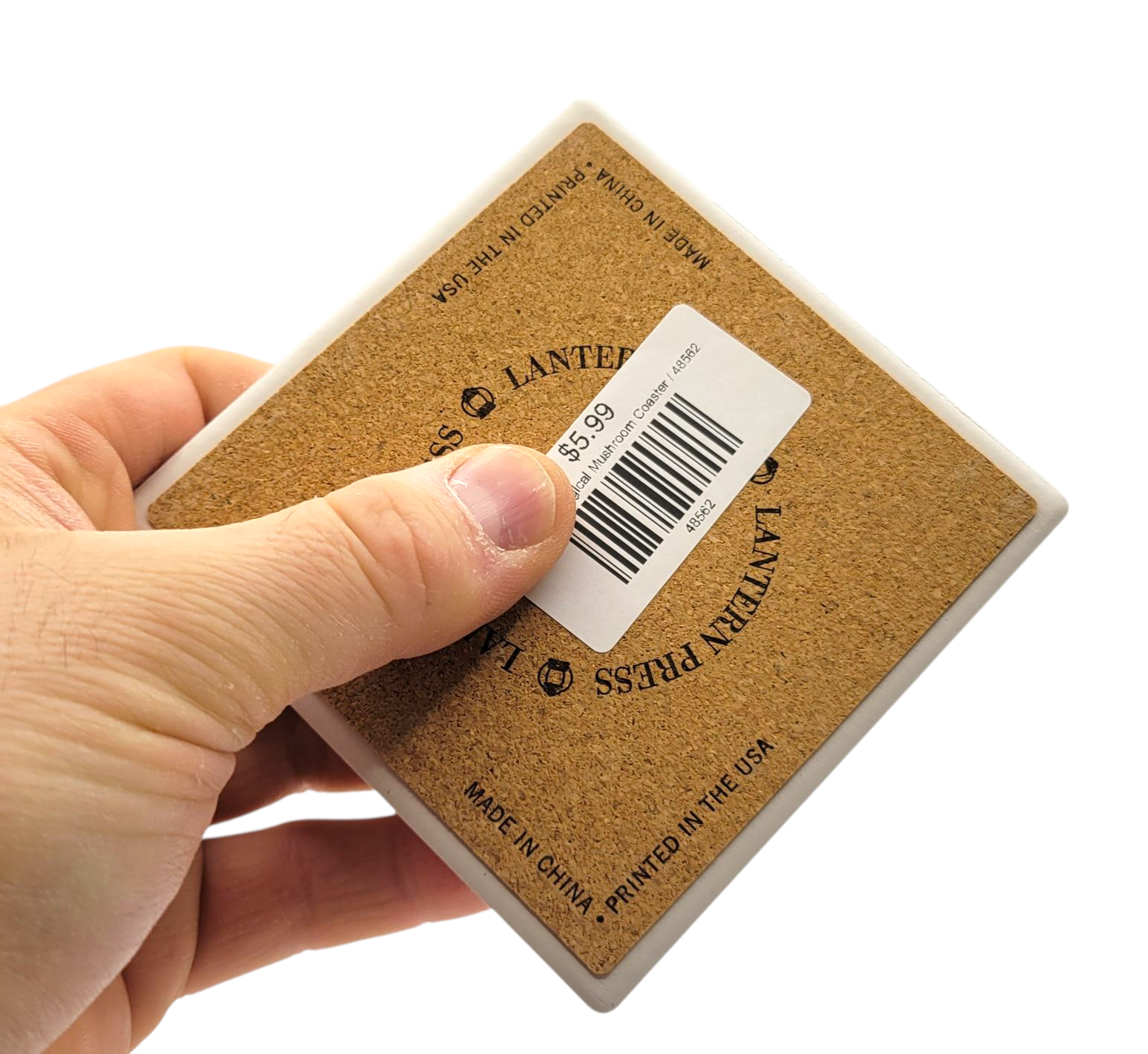 Yellowstone National Park Coaster