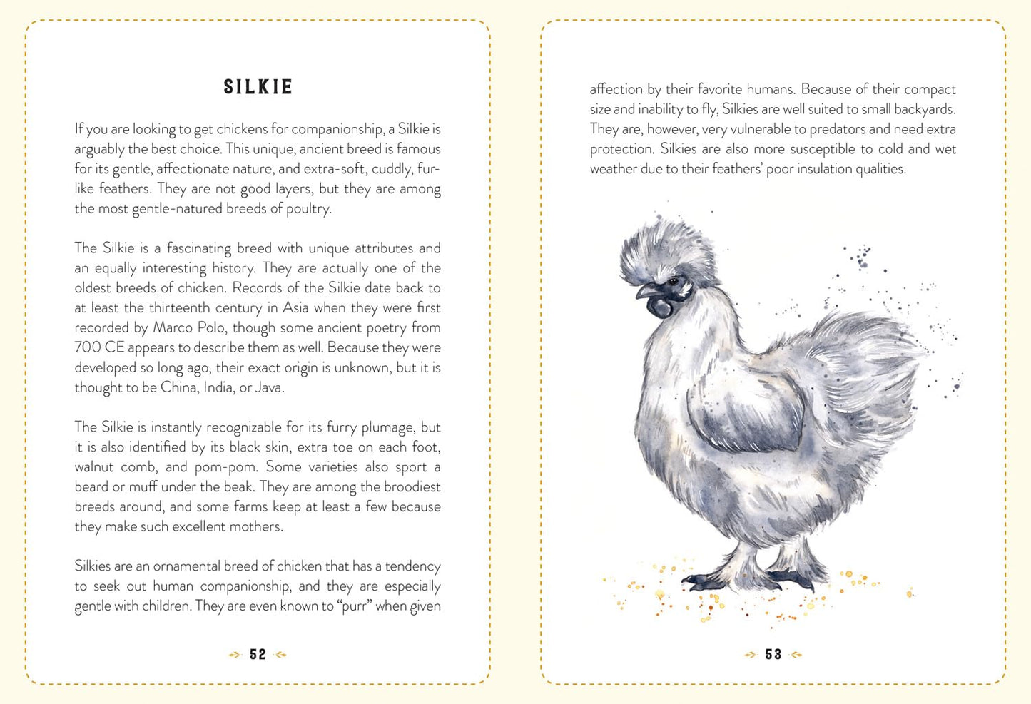 Little Book Of Chickens