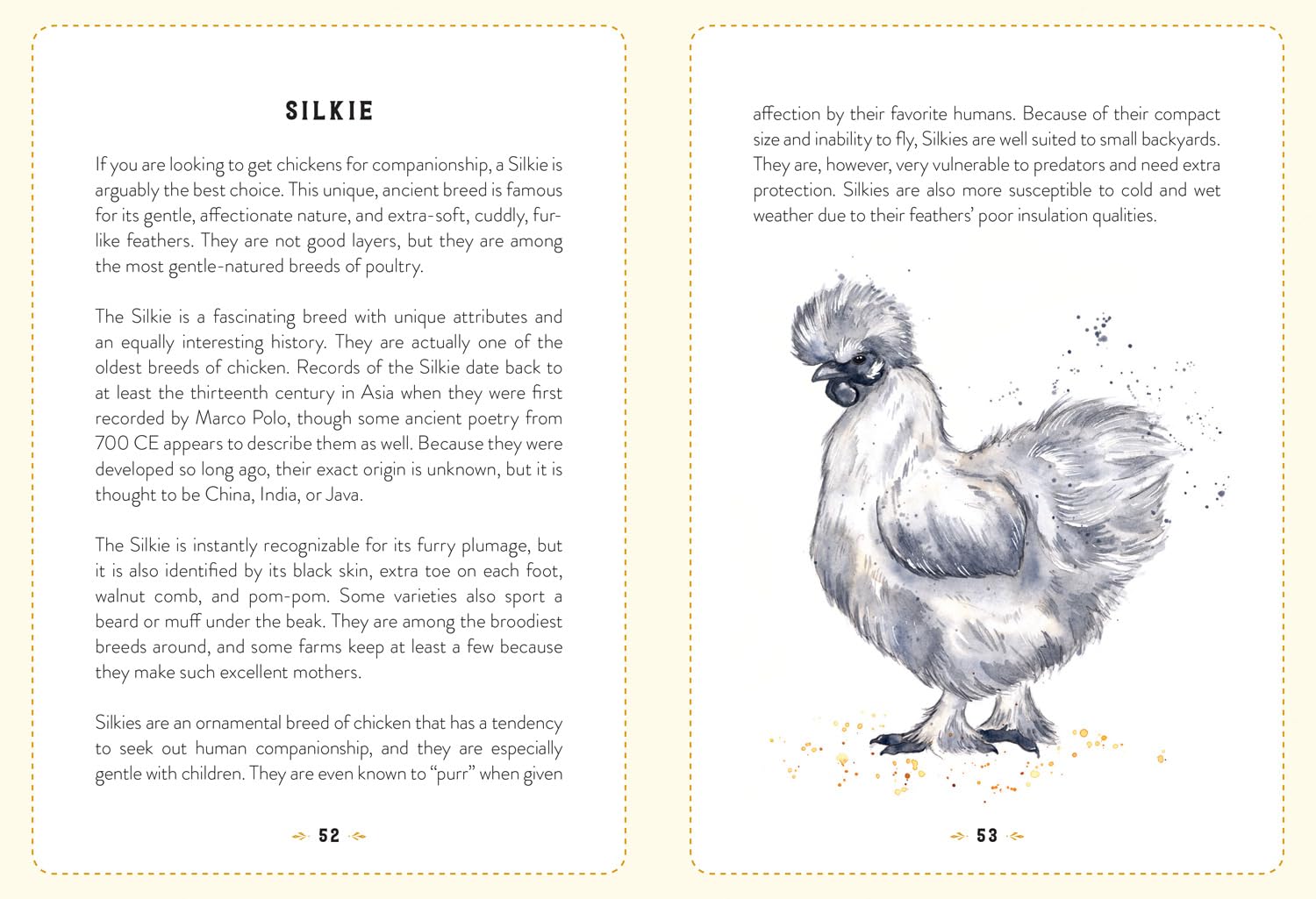 Little Book Of Chickens