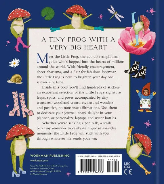 Little Frog Sticker Book