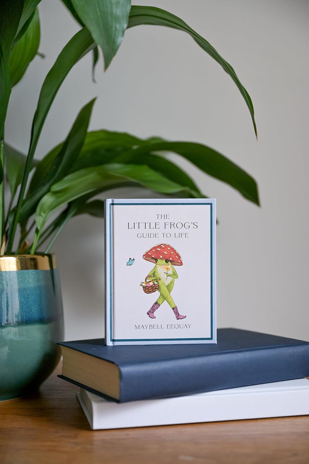 Little Frog's Guide To Life Book