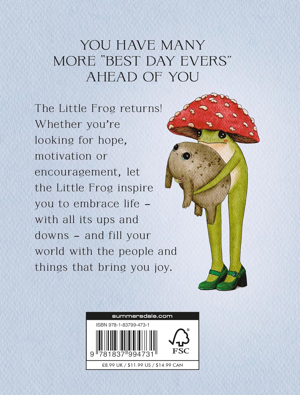 Little Frog's Guide To Life Book