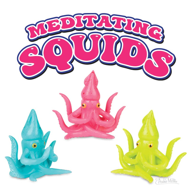 Meditating Squid
