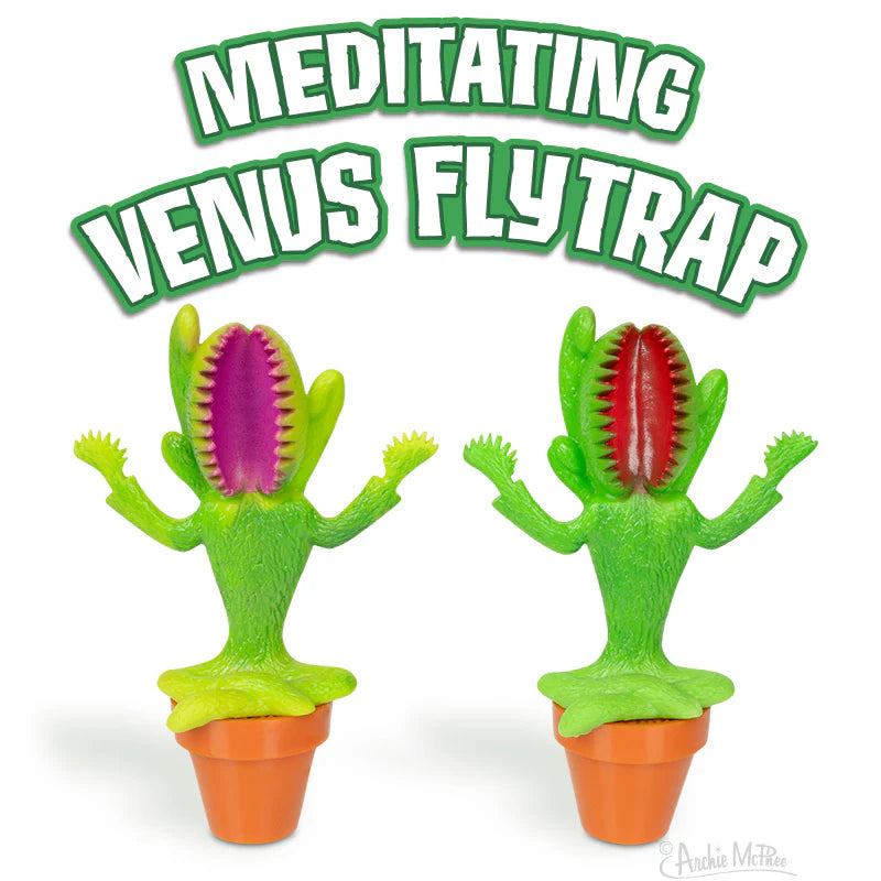 Meditating Venus Flytrap