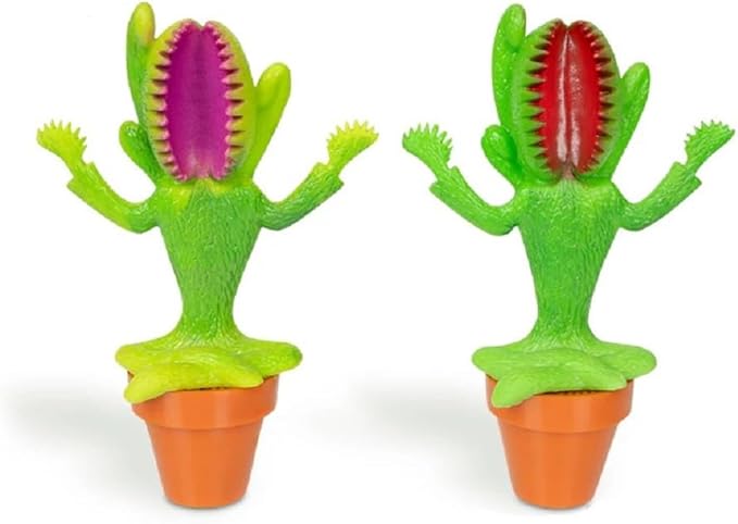 Meditating Venus Flytrap