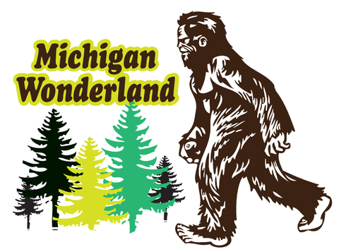 Card Michigan Wonderland