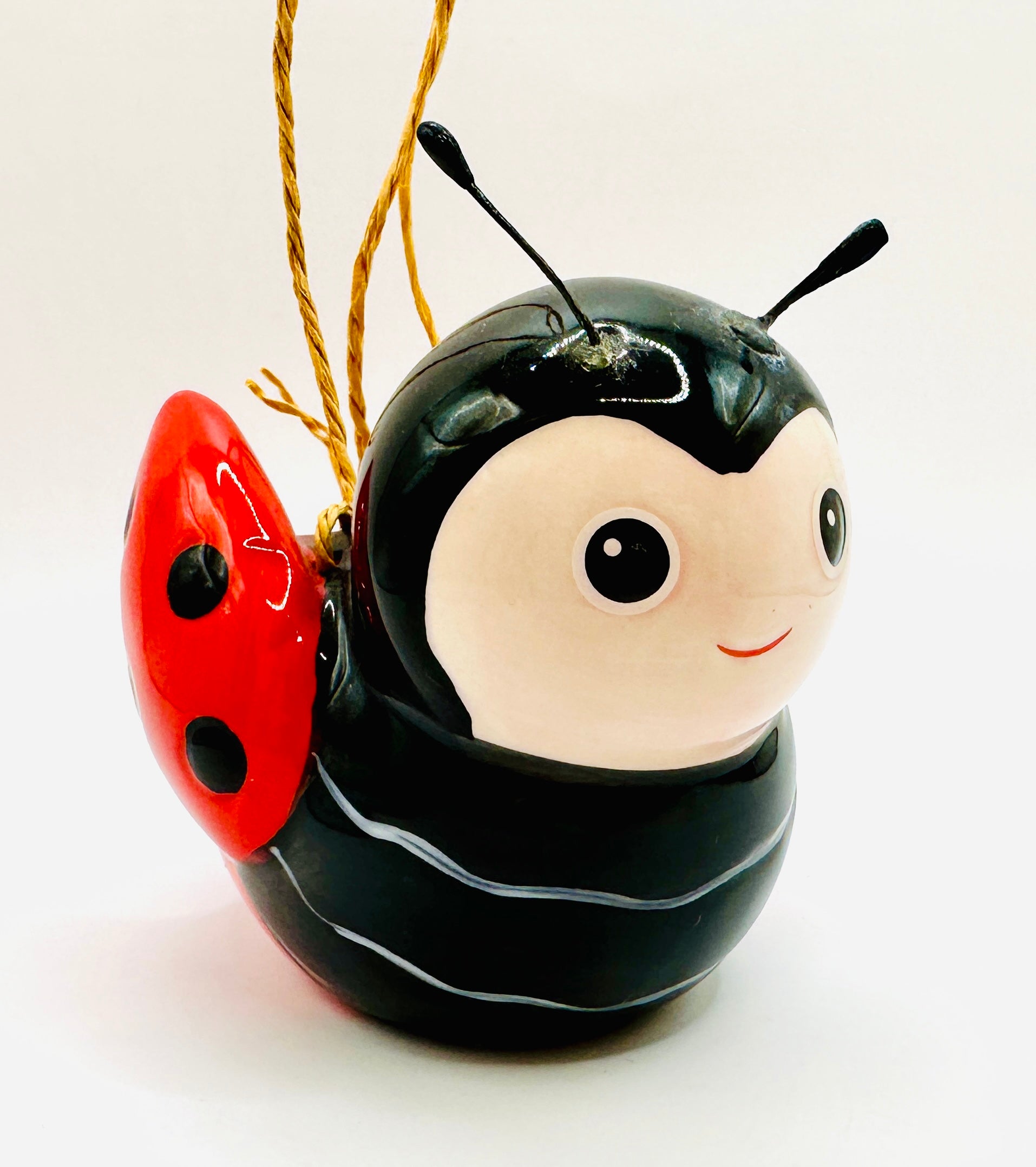 Mini Insect Hanging Planter – www.shoptherocket.com