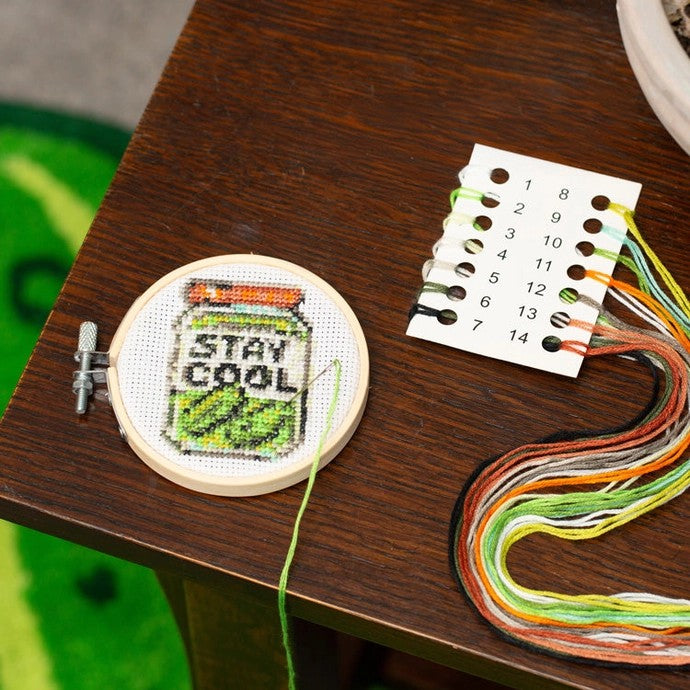 Mini Pickle Cross Stitch Embroidery Kit