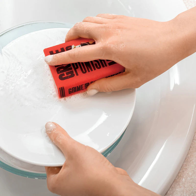 Neat And Novel Chapter 2 Sponges