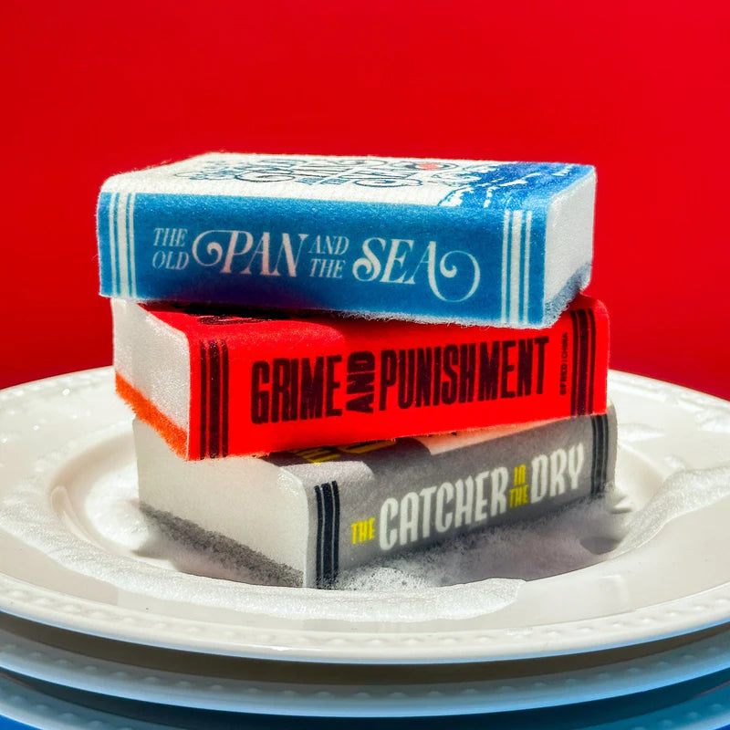 Neat And Novel Chapter 2 Sponges