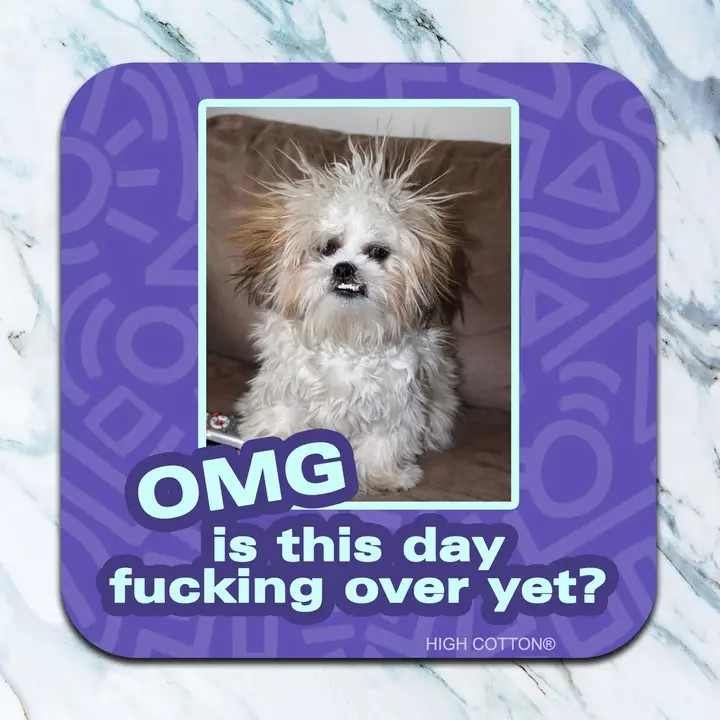 OMG Is This Day Fucking Over Yet? Coaster