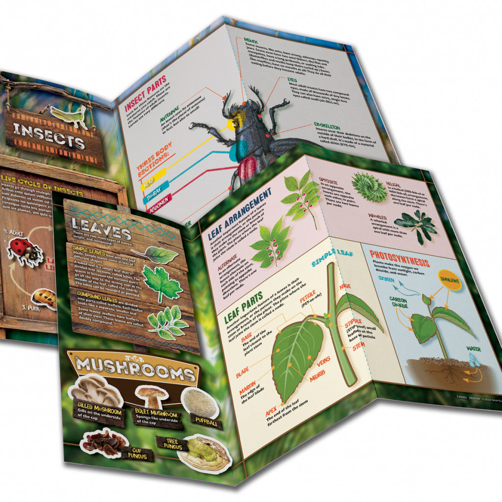Outdoor Science Lab