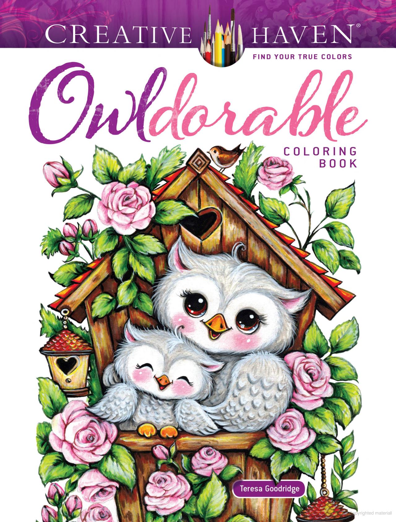 Owldorable Coloring Book Creative Haven