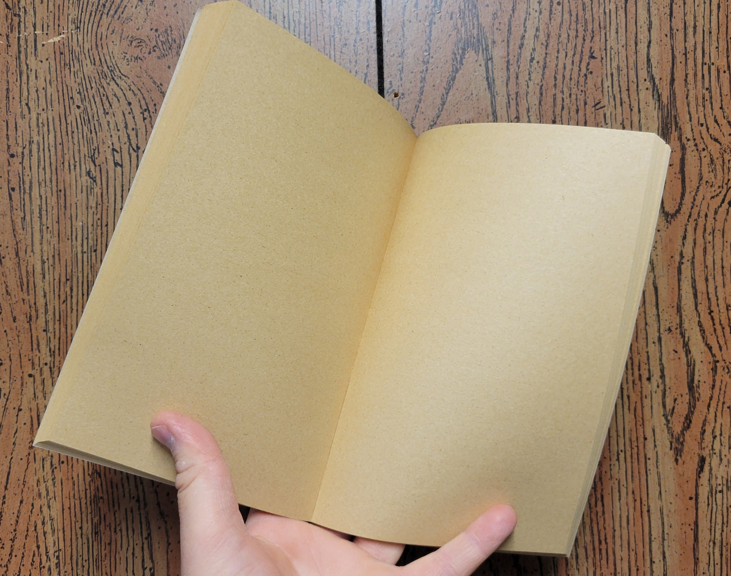 Painted Berries Kraft Notebook