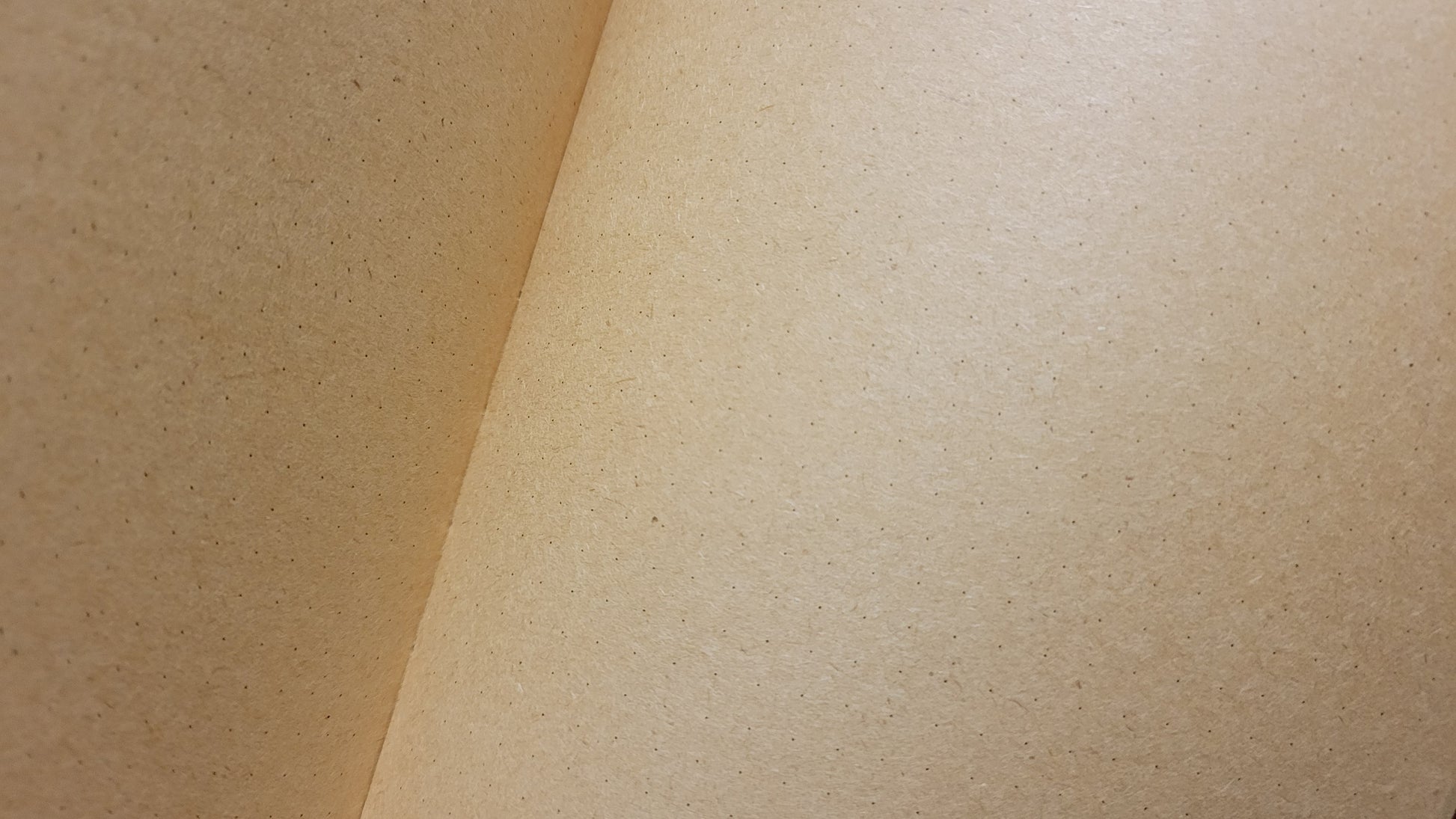 Painted Berries Kraft Notebook