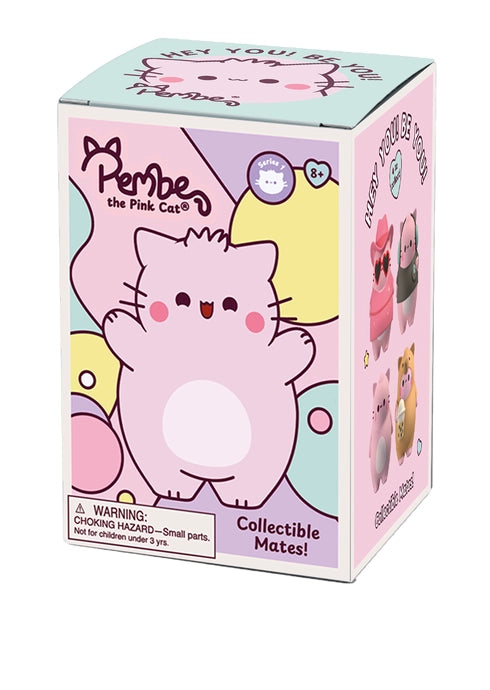 Pembe Foam Mates Blind Box