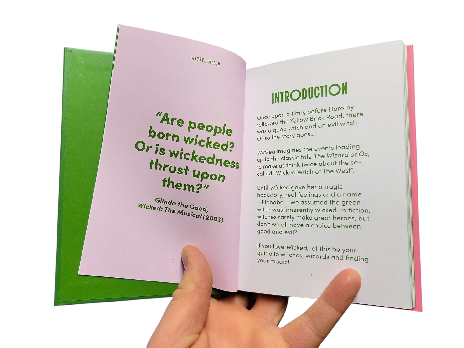 Pocket Guide To The Wicked Witch