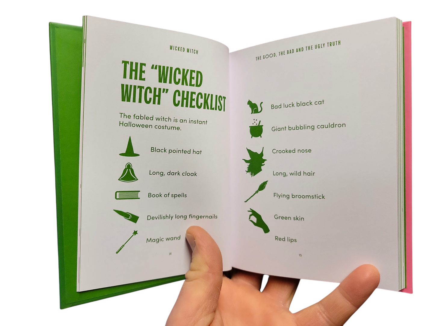 Pocket Guide To The Wicked Witch