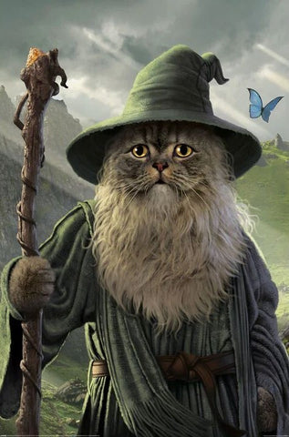 Catdalf Lord Of The Rings Poster
