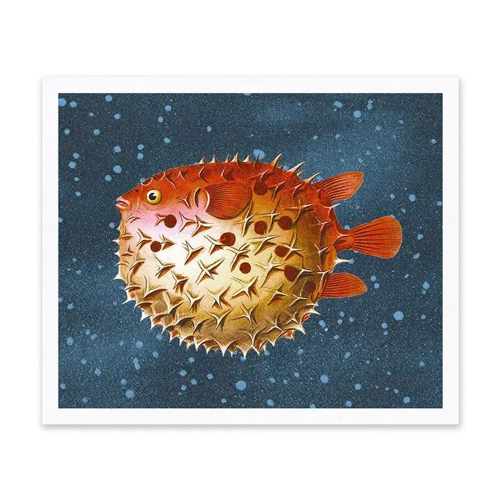 Puffer Fish Risograph Print 10"x12"