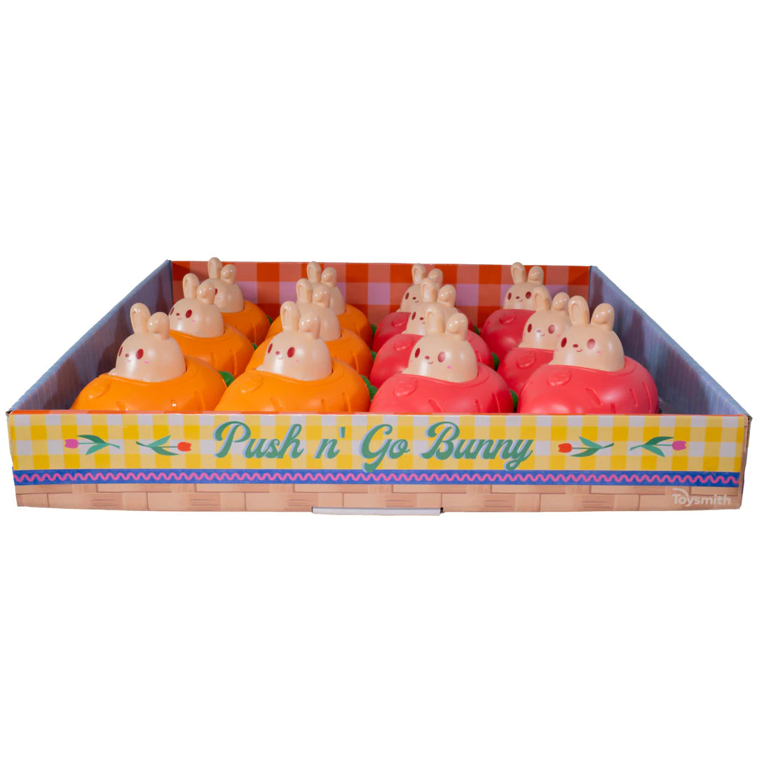 Push'N Go Bunny