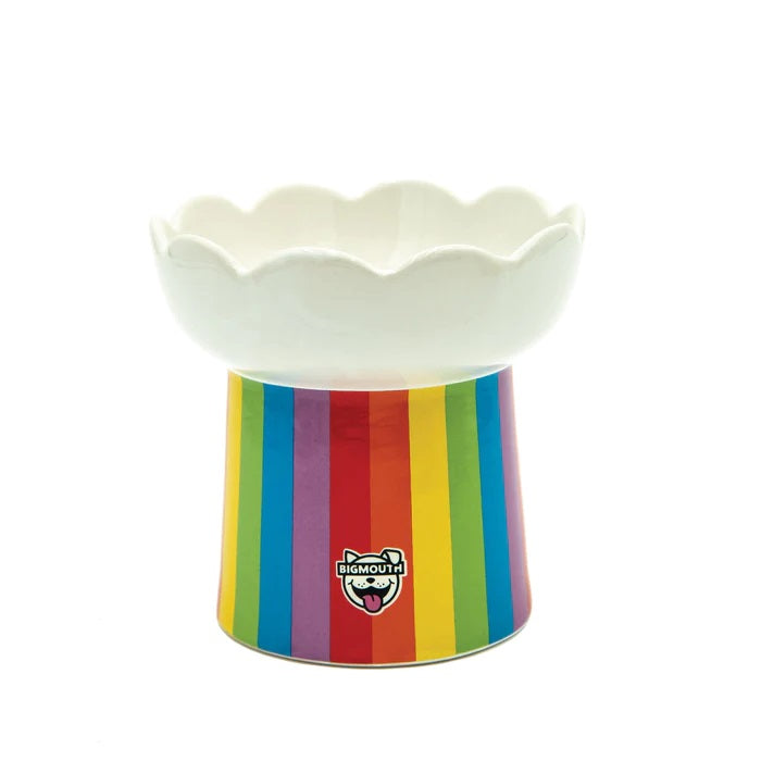 Rainbow Elevated Cat Bowl