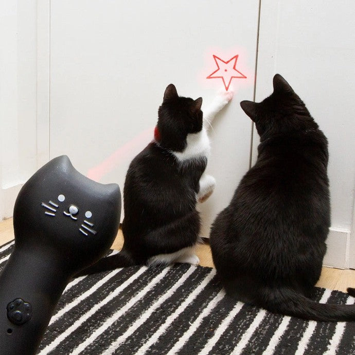 Rechargeable Pounce & Play Laser Cat Toy