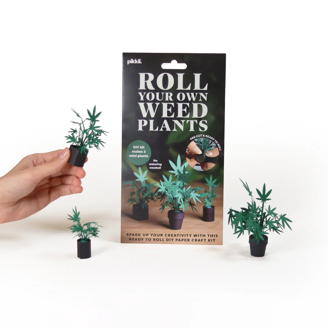 house plant pre rolls Pikkii Paper Origami Sets